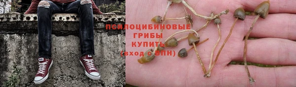 мяу мяу мука Зеленодольск